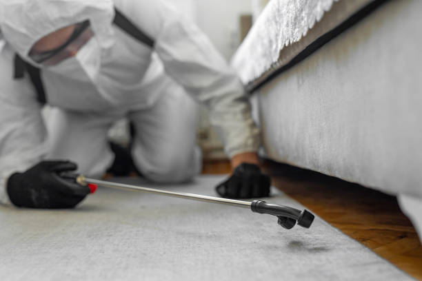 Professional Bed Bug Control technician working in Carroll, IA